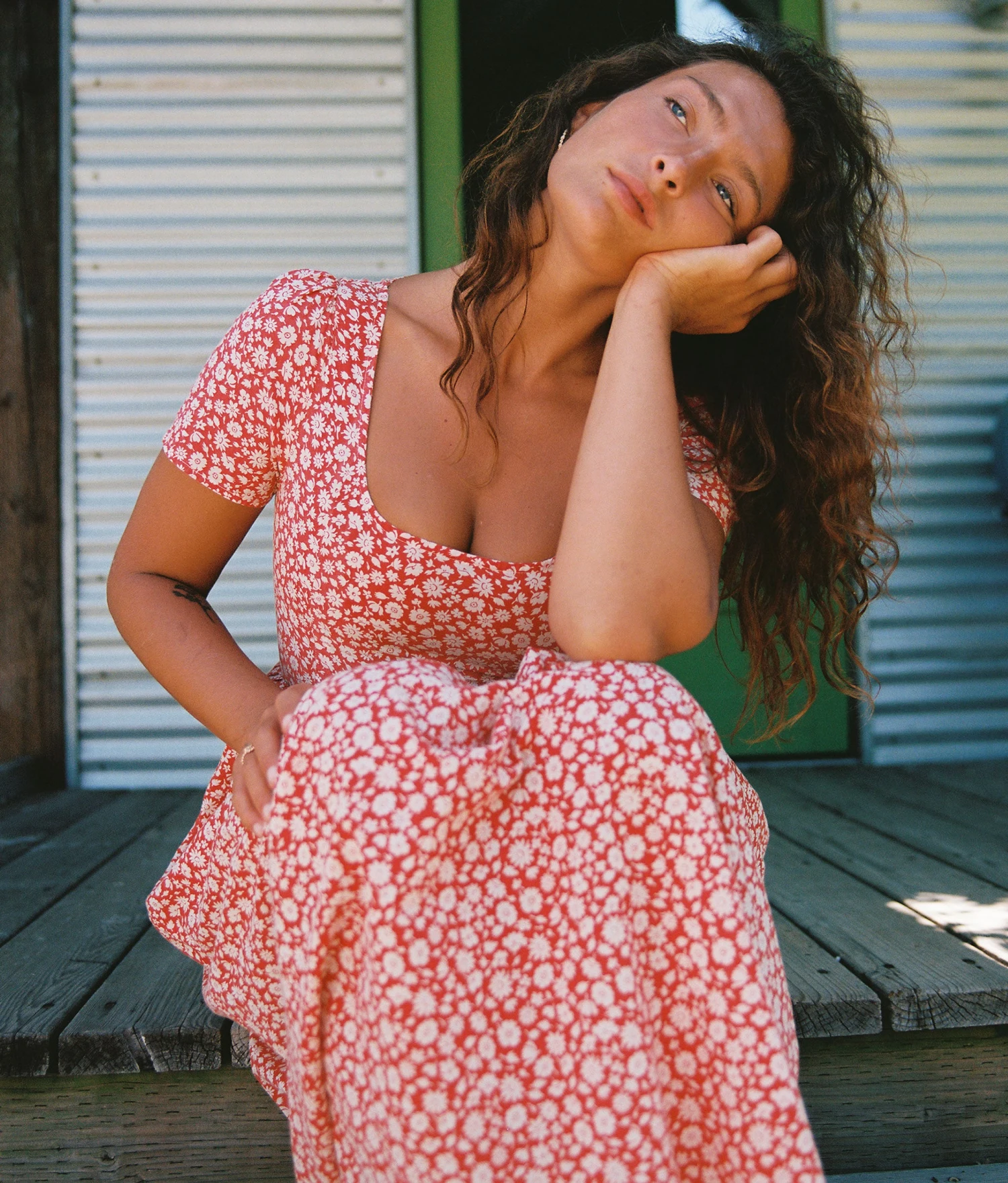 The Scarlet Dress Petites | Crimson Calendula 3 The Scarlet Dress Petites | Crimson Calendula - Image 3