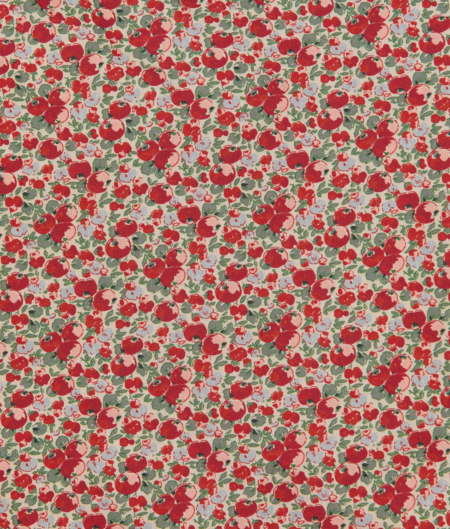 The Adelia Dress | Apple Harvest 9 The Adelia Dress | Apple Harvest - Image 9