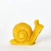 Snail Beeswax Candle -Ivona Sale Store Candle1Cover a9eb5b93 a1f7 4c9c 9a92 f6fbc386189f