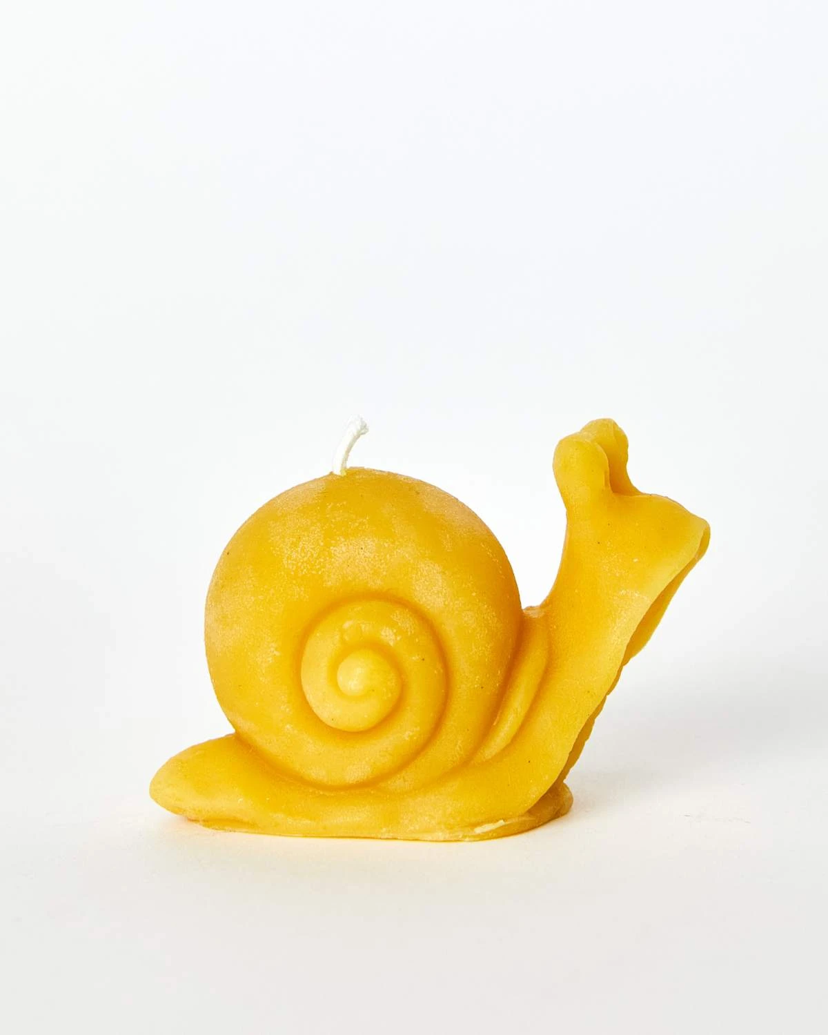Snail Beeswax Candle 1 Snail Beeswax Candle