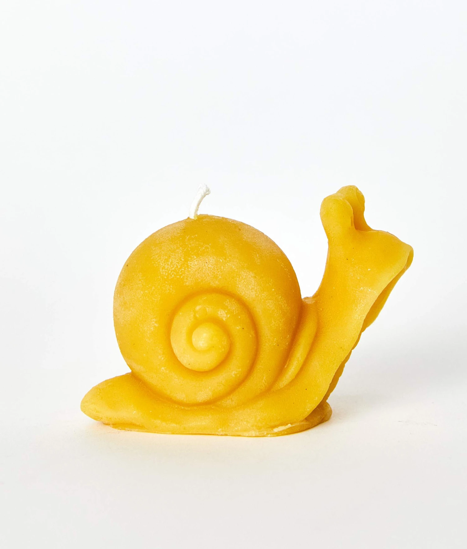 Snail Beeswax Candle 2 Snail Beeswax Candle - Image 2