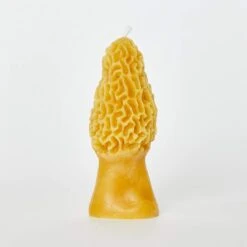 Morel Mushroom Beeswax Candle -Ivona Sale Store Candle3 fb feed 151d35e7 f095 48ec 9195 31b86f83db21