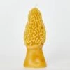 Morel Mushroom Beeswax Candle -Ivona Sale Store Candle3Cover 3f668f98 aeec 44b1 92d1 2d130cd37fed