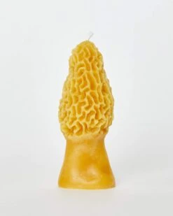 Morel Mushroom Beeswax Candle