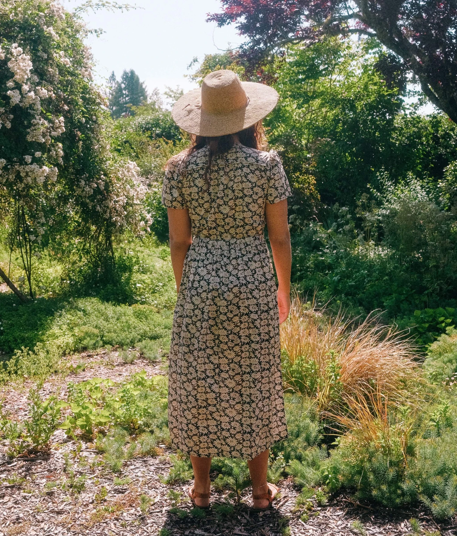 The Dawn Dress Petites | Night Chamomile 5 The Dawn Dress Petites | Night Chamomile - Image 5