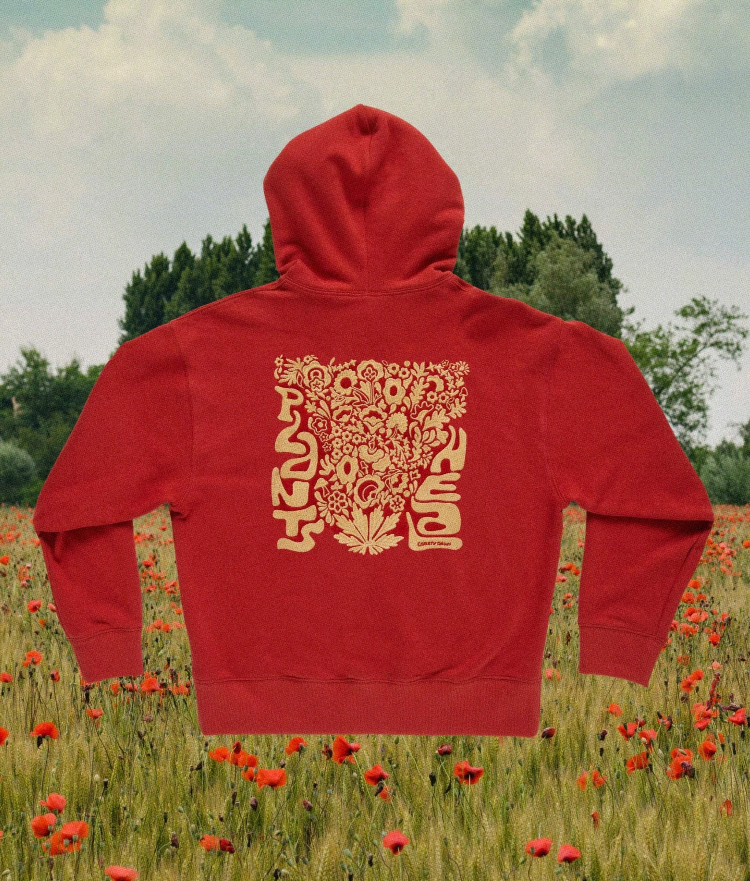 Plants Heal Hoodie | Red 6 Plants Heal Hoodie | Red - Image 6